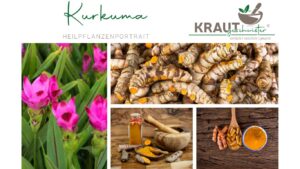 Kurkuma – Die goldene Wurzel der Sonne