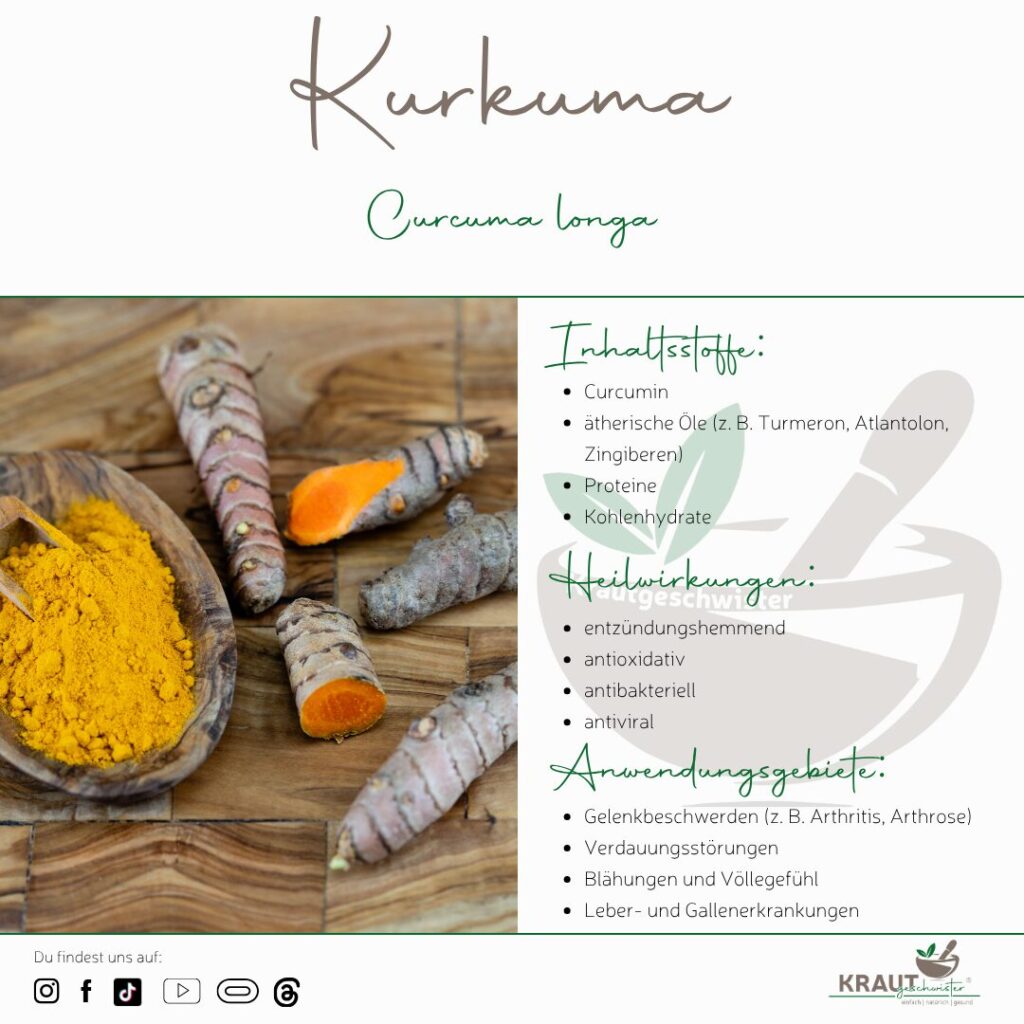 Kurkuma – Die goldene Wurzel der Sonne