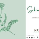 Schafgarbe ätherisches Öl Profil