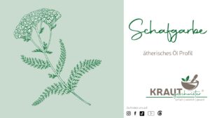 Schafgarbe ätherisches Öl Profil