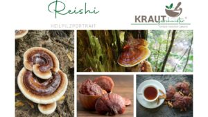 Reishi – Pilz der Unsterblichkeit