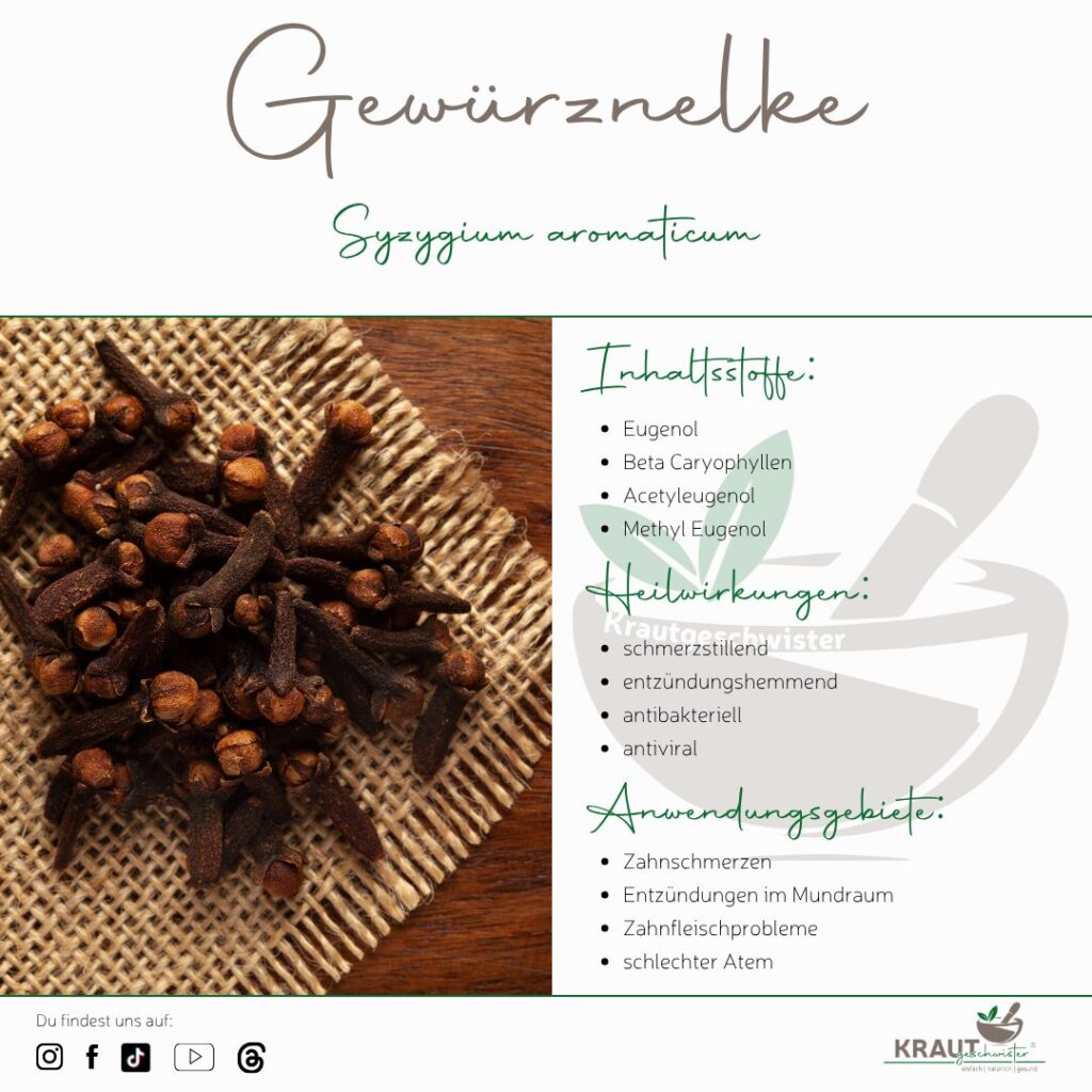 Natur- und Volksheilkunde zur Weihnachtszeit