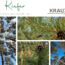 Kiefer – Harzduft, Heilkraft und das stille Wissen der Wälder