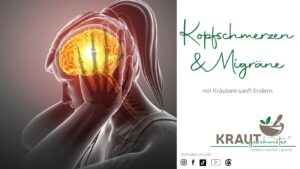 Wenn der Kopf dröhnt