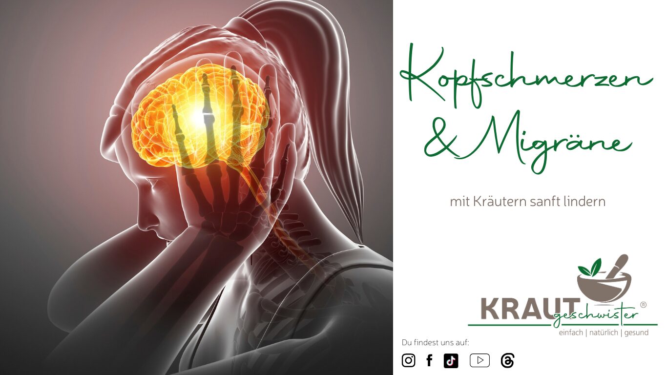 Wenn der Kopf dröhnt