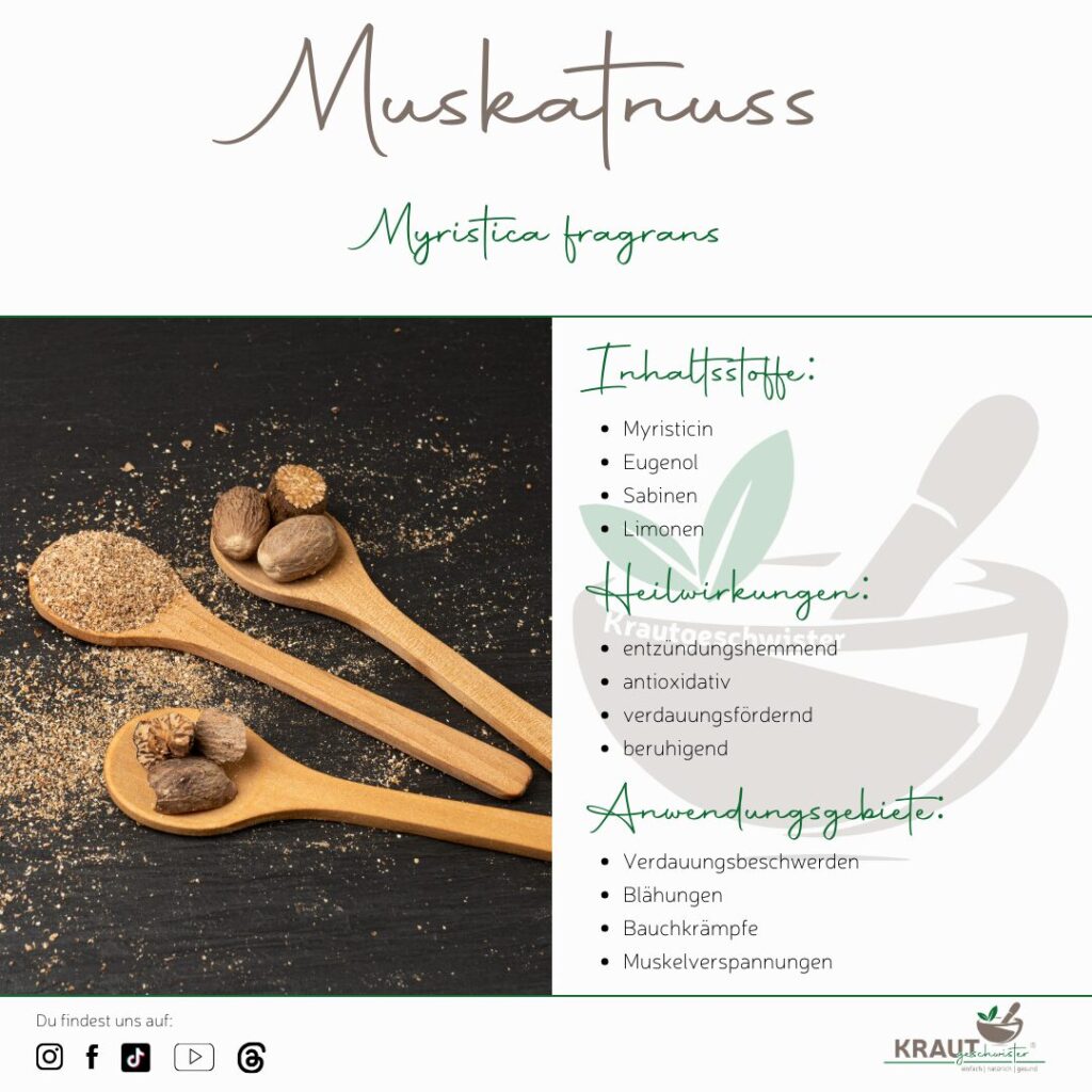 Muskatnuss – warmes Aroma, starke Wirkung