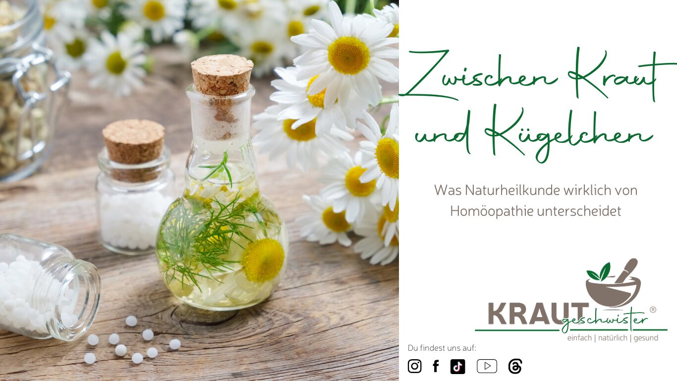 Zwischen Kraut und Kügelchen