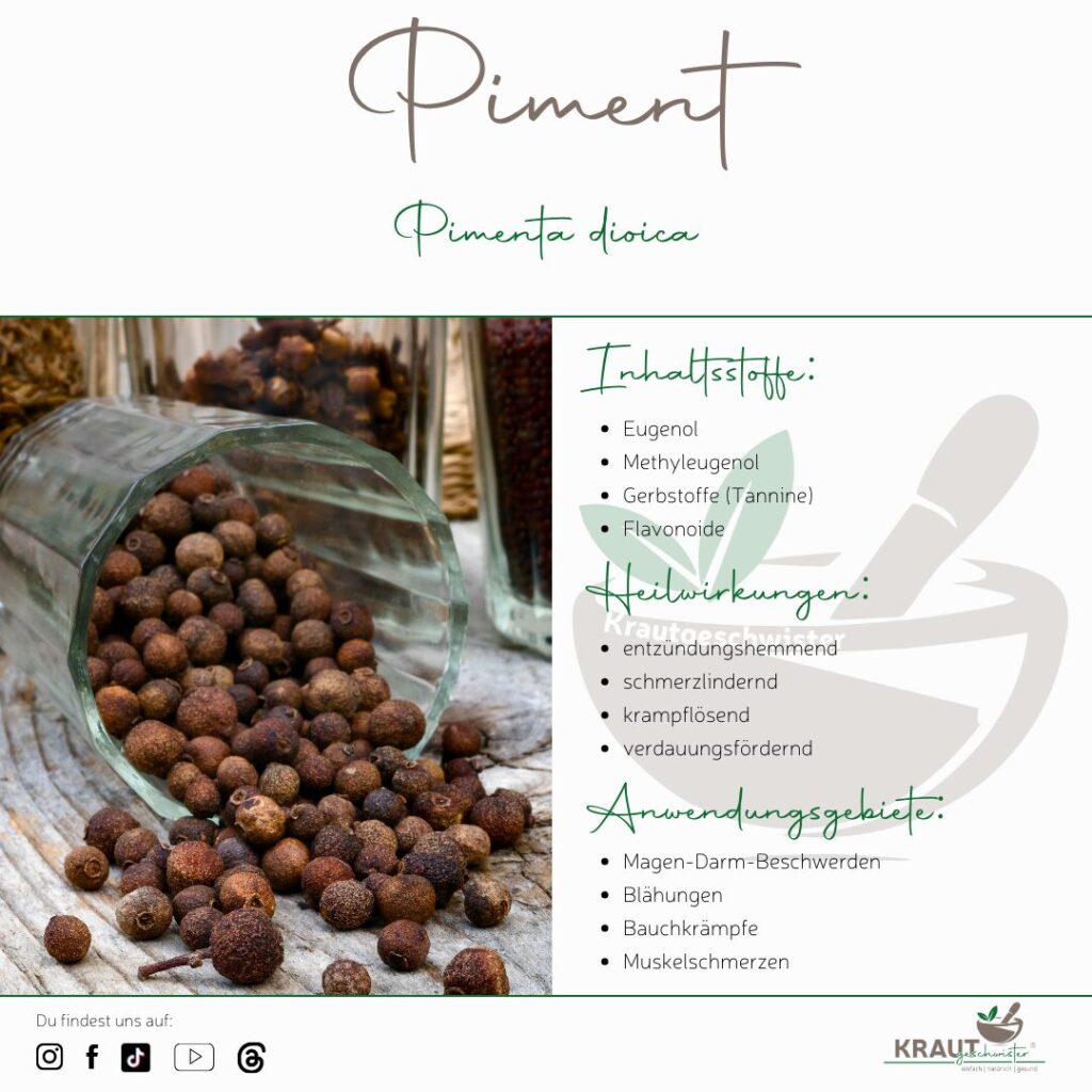 Piment – die unterschätzte Wärmefrucht