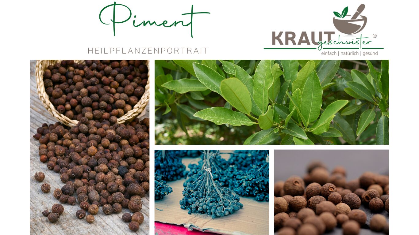 Piment – die unterschätzte Wärmefrucht