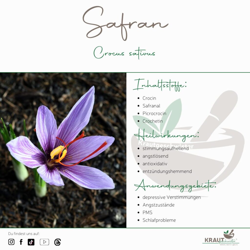 Safran &ndash; das rote Gold und was es wirklich kann