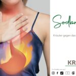 Kräuterhilfe bei Sodbrennen