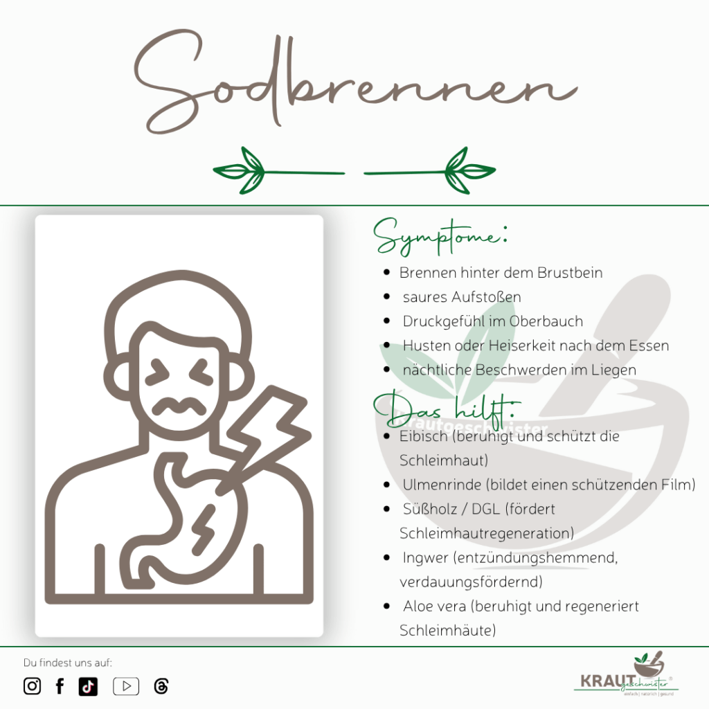 Kr&auml;uterhilfe bei Sodbrennen