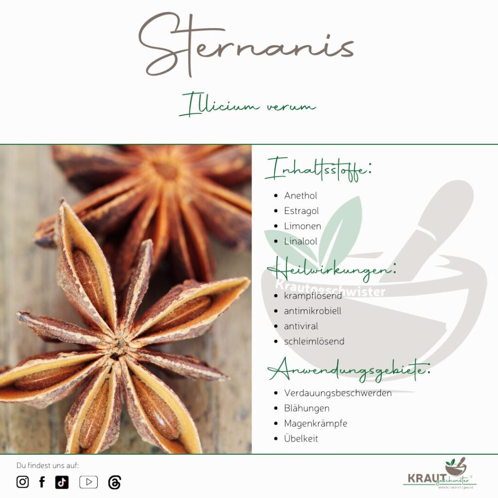 Sternanis &ndash; kraftvolles Heilgew&uuml;rz mit erstaunlicher Wirkung