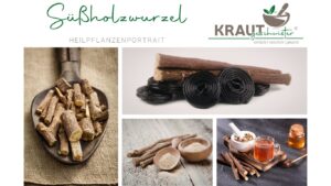 Süßholzwurzel – süß, stark und überraschend vielseitig