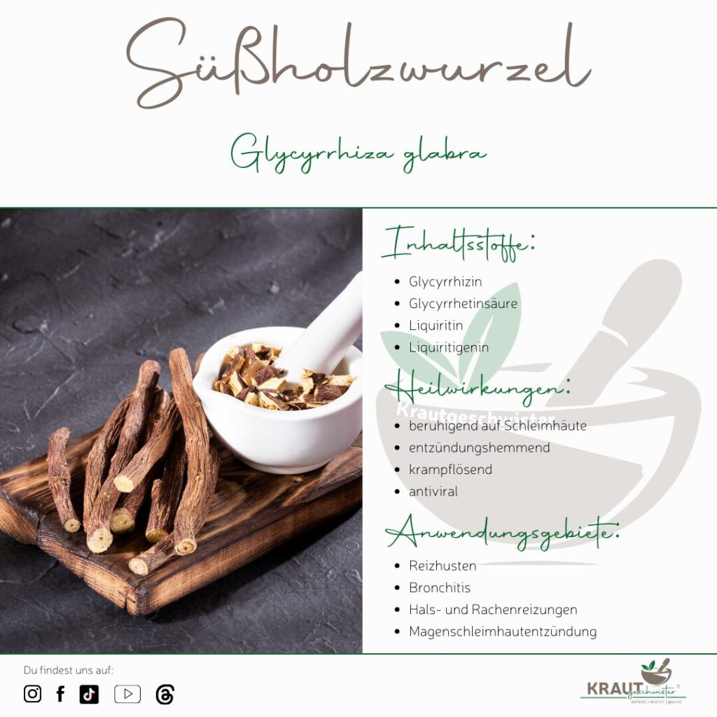 Süßholzwurzel – süß, stark und überraschend vielseitig