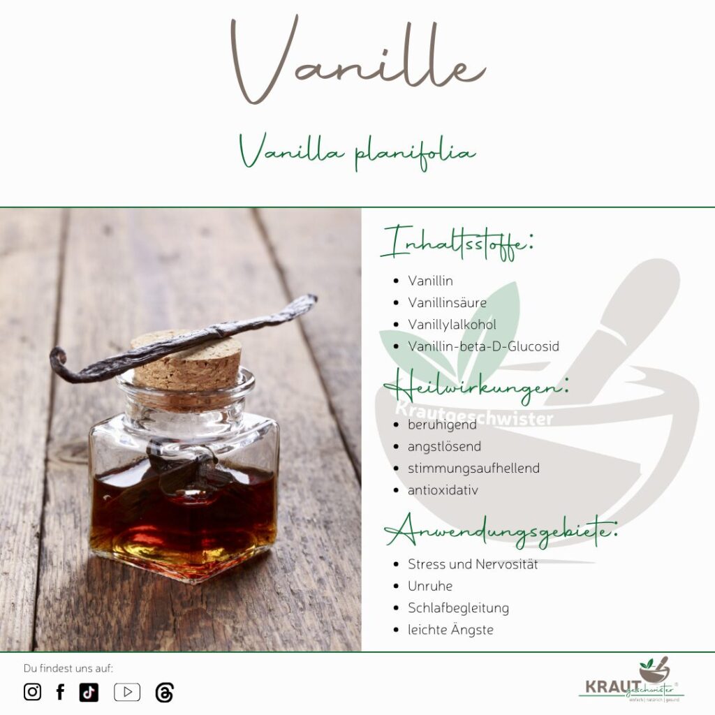 Vanille – die süße Königin der Heilpflanzen