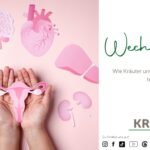 Wilde Wechseljahre & sanfte Helfer – wie Kräuter uns durch den Wandel tragen