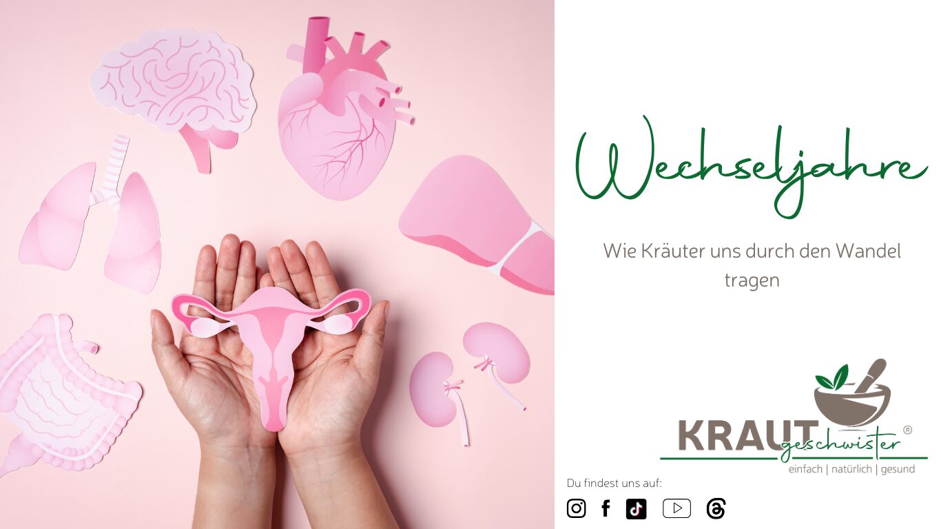 Wilde Wechseljahre &amp; sanfte Helfer – wie Kräuter uns durch den Wandel tragen