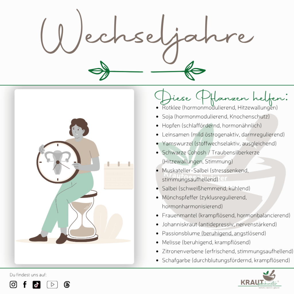 Wilde Wechseljahre &amp; sanfte Helfer – wie Kräuter uns durch den Wandel tragen