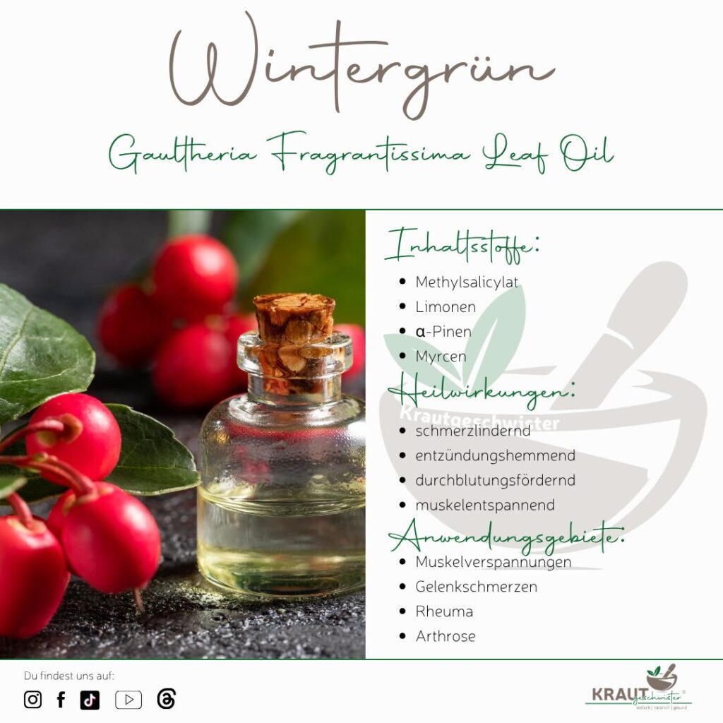 Wintergrün ätherisches Öl Profil