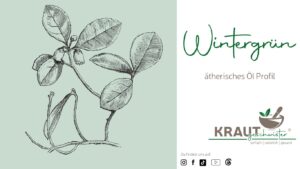 Wintergr&uuml;n &auml;therisches &Ouml;l Profil