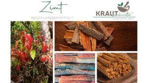 Zimt &ndash; duftendes Gold f&uuml;r K&ouml;rper, Seele und K&uuml;che