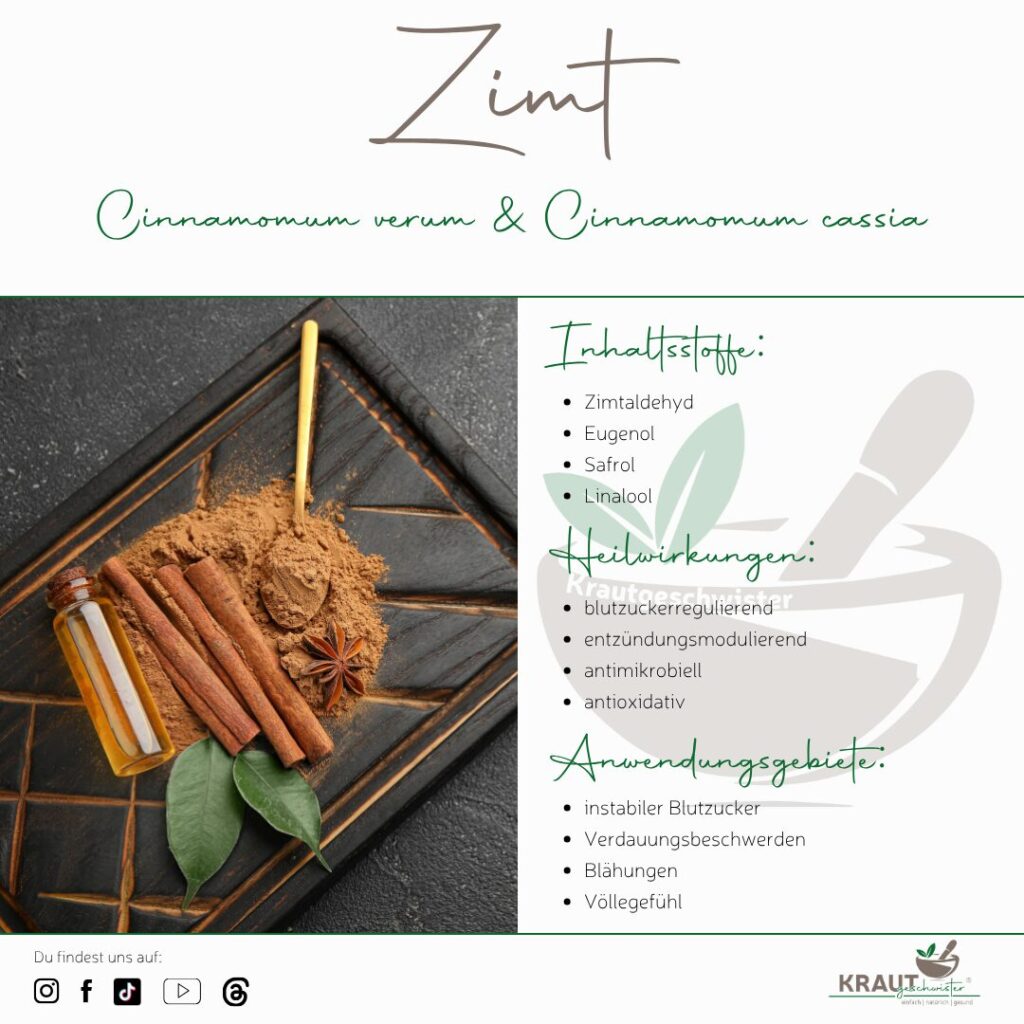 Zimt – duftendes Gold für Körper, Seele und Küche