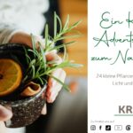 Ein Kräuter-Adventskalender zum Nachkochen