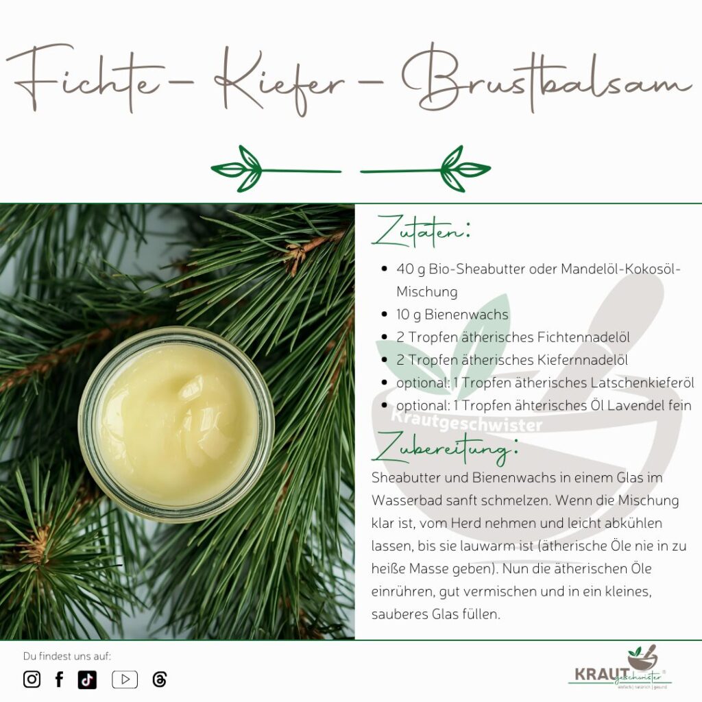 Winterduft, Waldwärme und ein freierer Atem – Fichtennadelbad und Co in der Weihnachtszeit