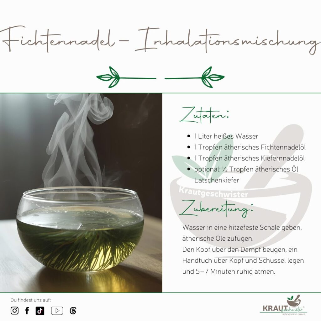 Winterduft, Waldwärme und ein freierer Atem – Fichtennadelbad und Co in der Weihnachtszeit