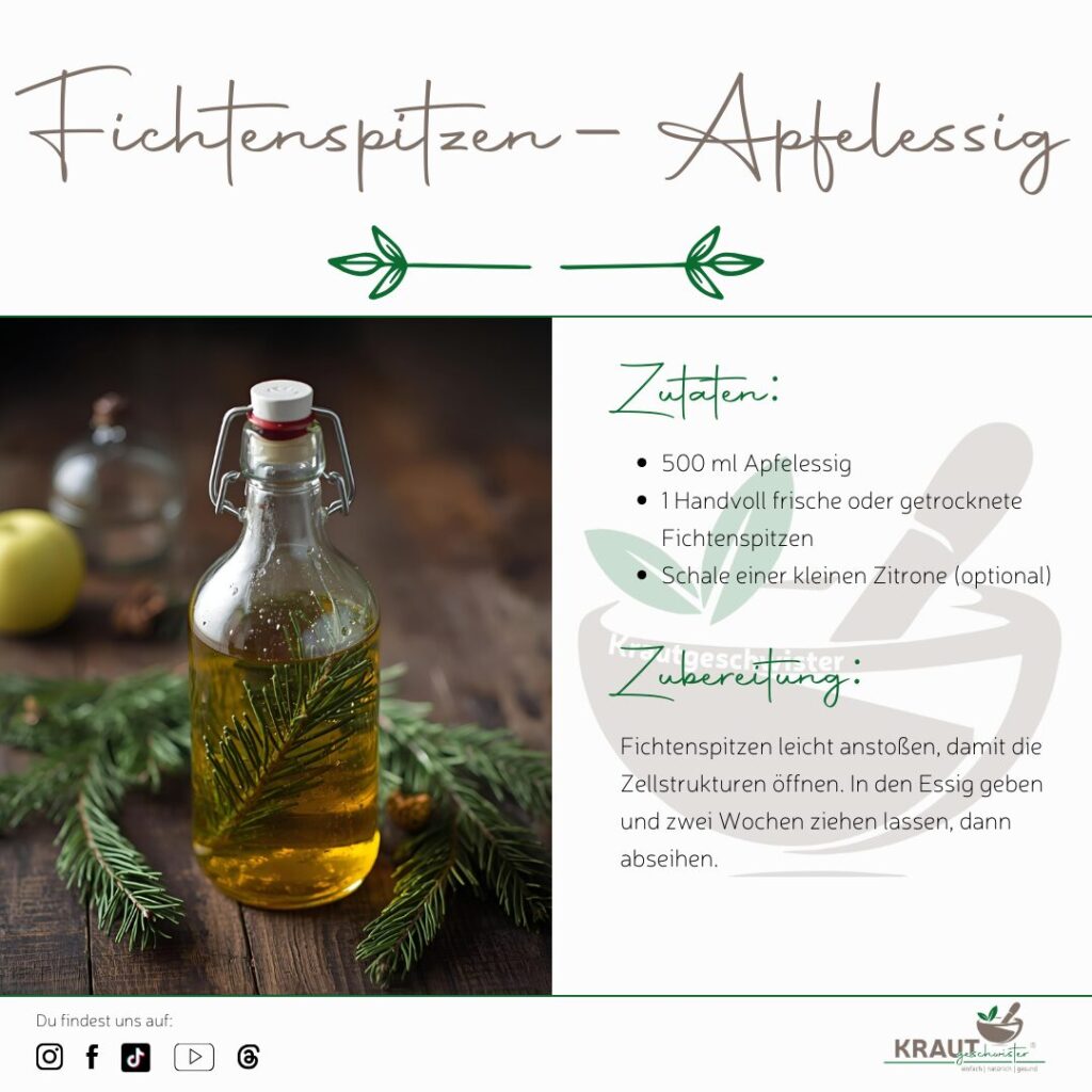 Weihnachtsessige &ndash; Kr&auml;uteressige als festliche W&uuml;rze und Winterhausmittel