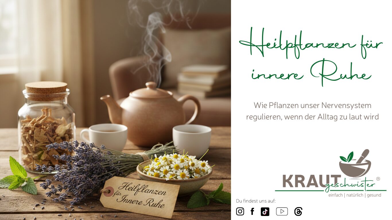 Heilpflanzen f&uuml;r innere Ruhe