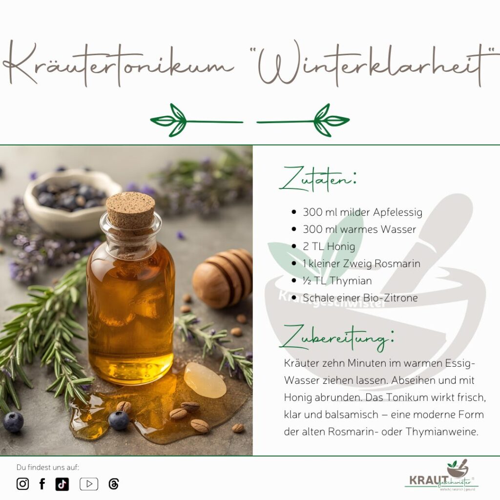 Winterliche Toniken – alte Heilweine und ihre moderne alkoholfreie Umsetzung