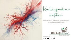 Kreislaufprobleme verstehen