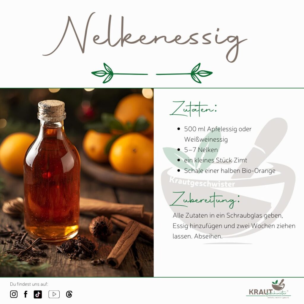 Weihnachtsessige &ndash; Kr&auml;uteressige als festliche W&uuml;rze und Winterhausmittel