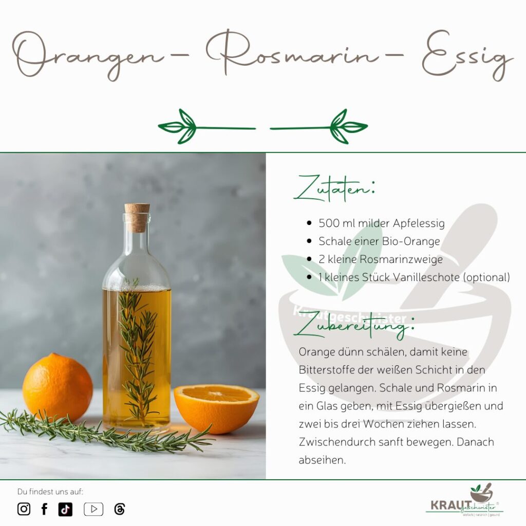 Weihnachtsessige &ndash; Kr&auml;uteressige als festliche W&uuml;rze und Winterhausmittel