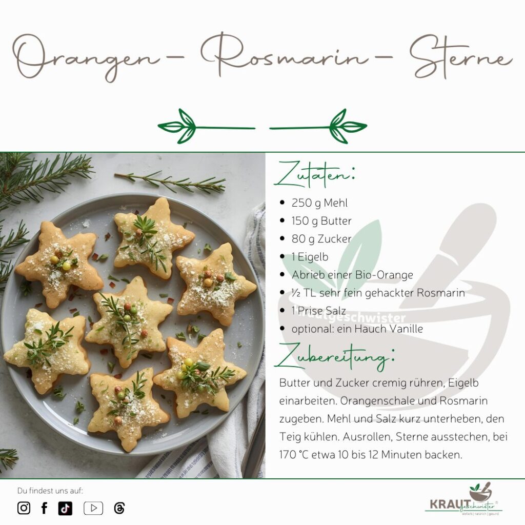 Weihnachtliche Kräuterkekse – wenn Winterduft und Pflanzenwissen zusammenfinden