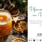 Pflanzenmedizin im Punsch