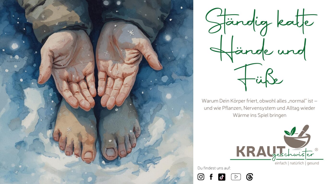 Mehr über den Artikel erfahren Ständig kalte Hände und Füße