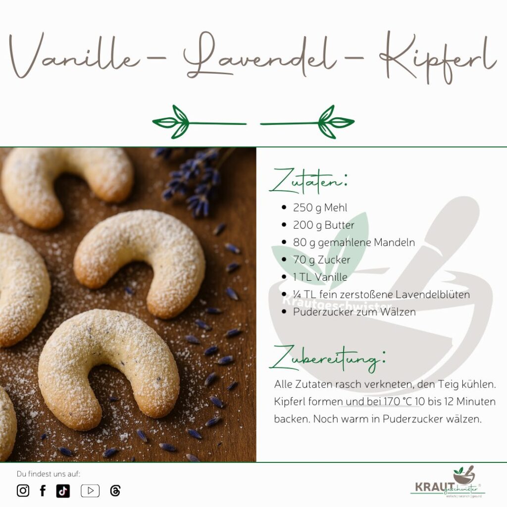 Weihnachtliche Kräuterkekse – wenn Winterduft und Pflanzenwissen zusammenfinden