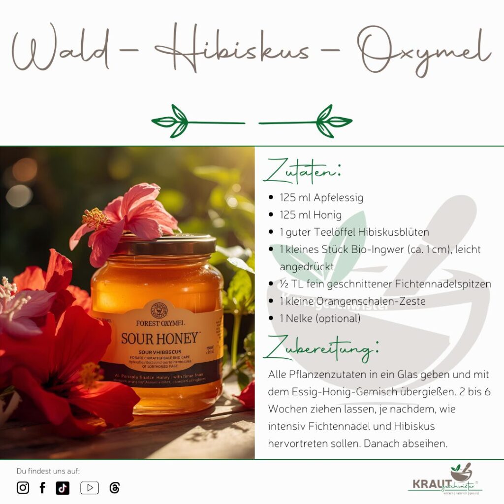 Weihnachtliche Oxymels