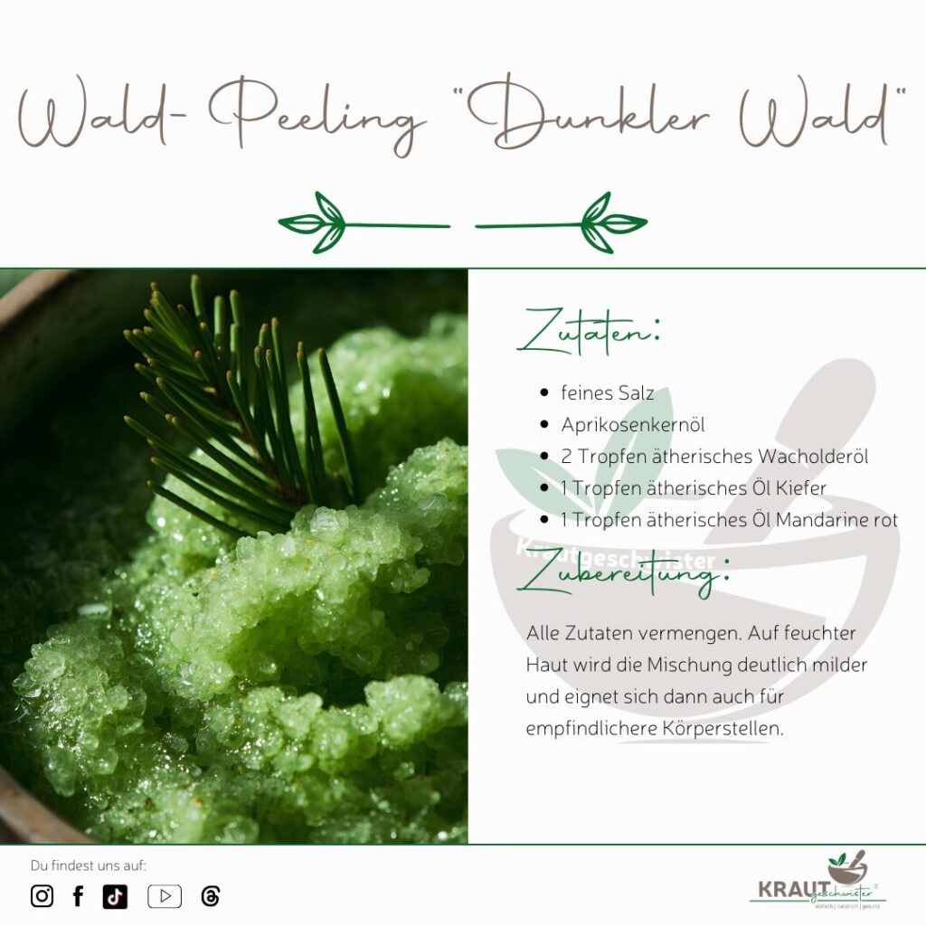 Weihnachtliche Wald-Peelings – Pflanzenkraft, Winterluft und Hautpflege aus der Natur