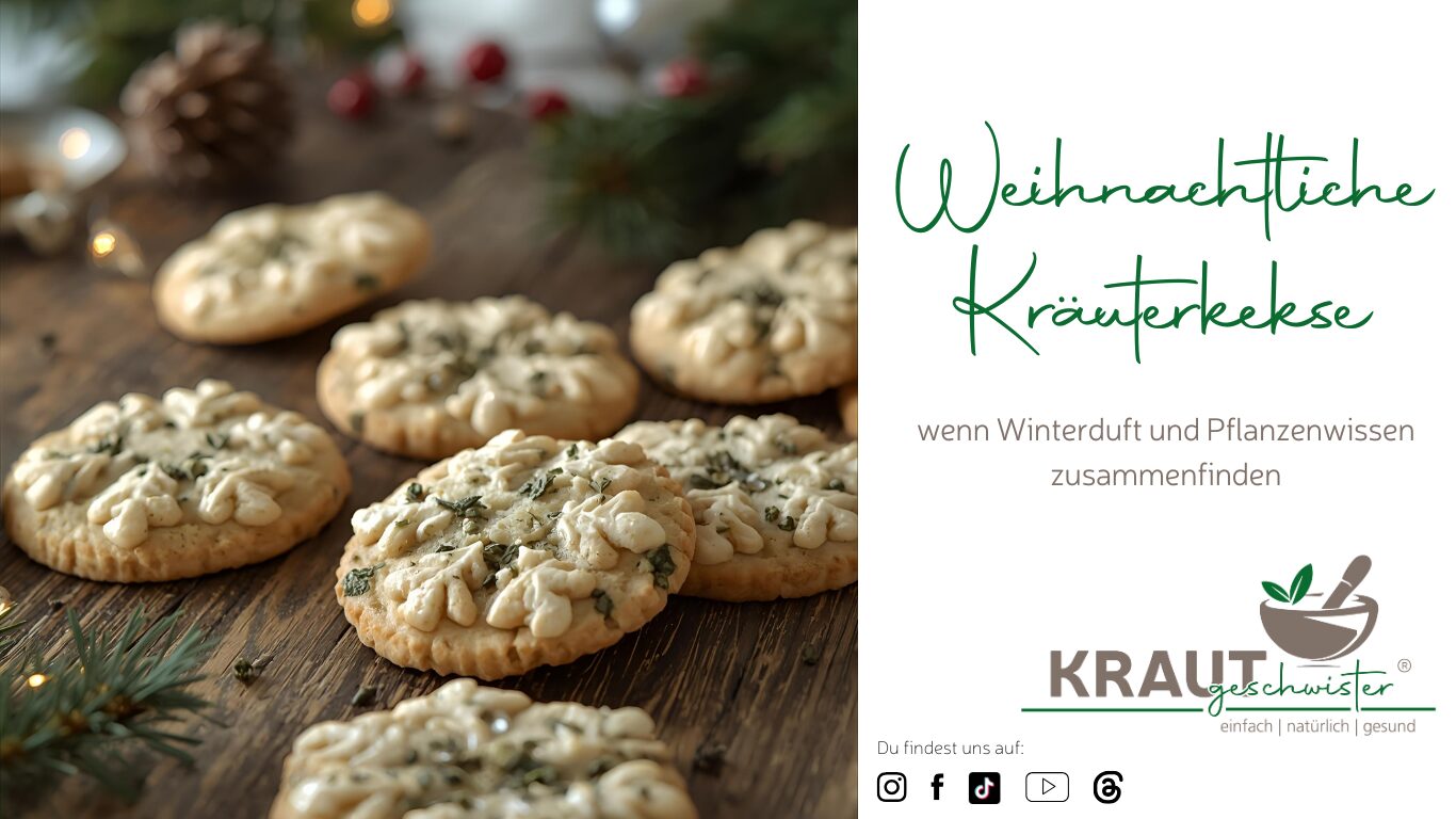 Weihnachtliche Kräuterkekse – wenn Winterduft und Pflanzenwissen zusammenfinden
