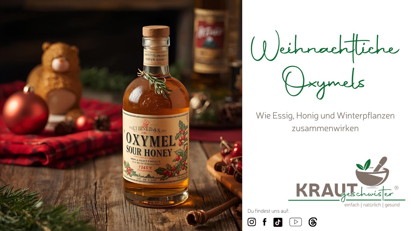 Weihnachtliche Oxymels