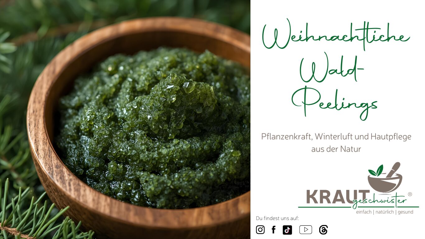 Weihnachtliche Wald-Peelings – Pflanzenkraft, Winterluft und Hautpflege aus der Natur
