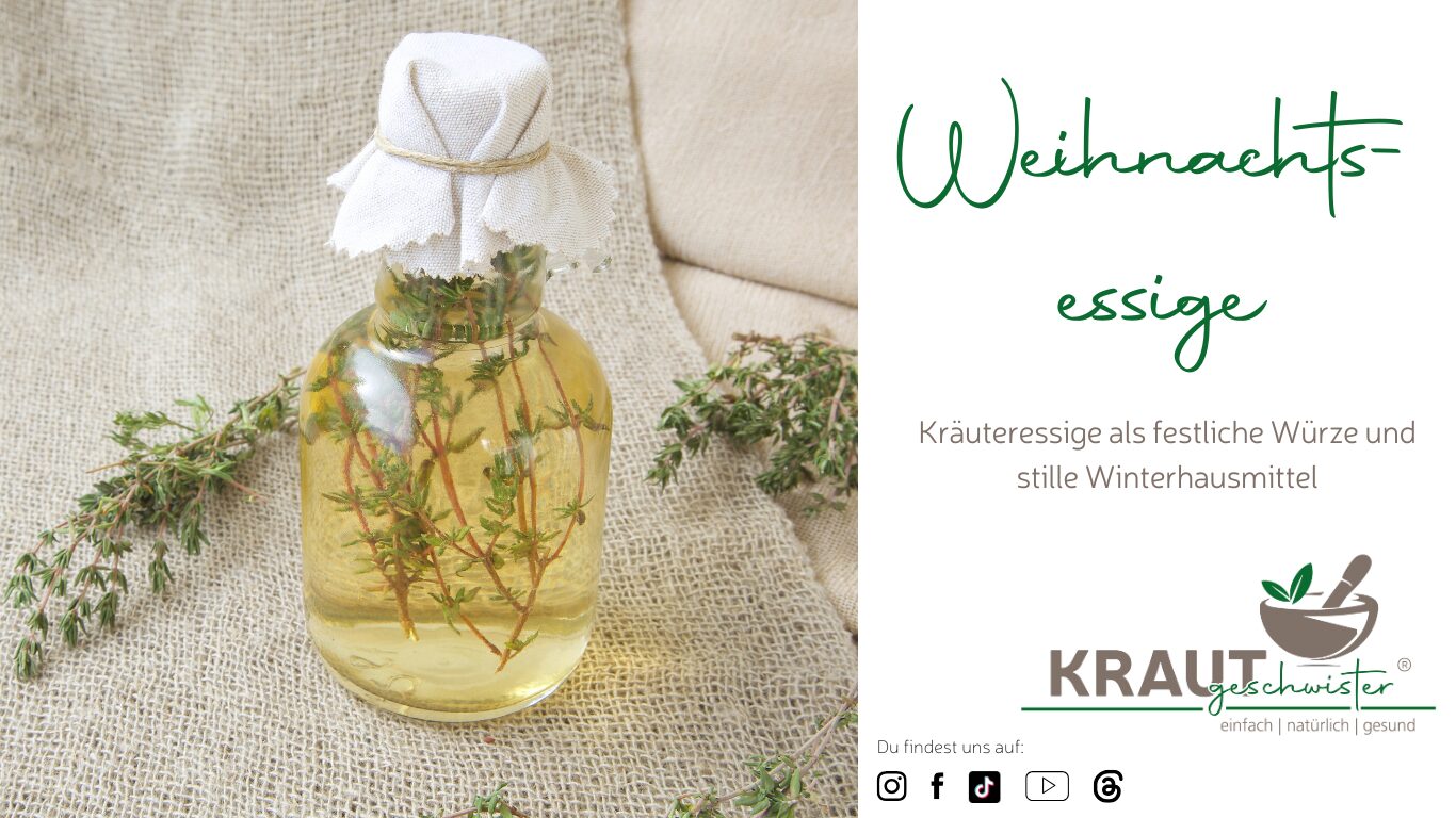 Weihnachtsessige &ndash; Kr&auml;uteressige als festliche W&uuml;rze und Winterhausmittel