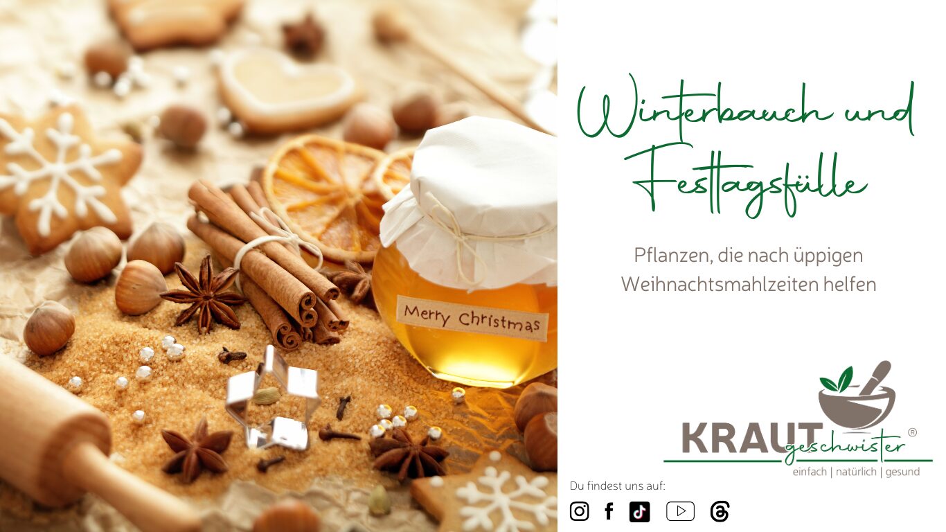 Winterbauch und Festtagsfülle – Pflanzen, die nach üppigen Weihnachtsmahlzeiten helfen