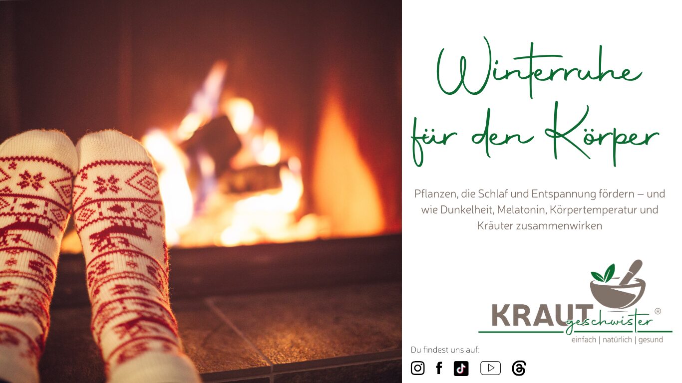 Winterruhe für den Körper