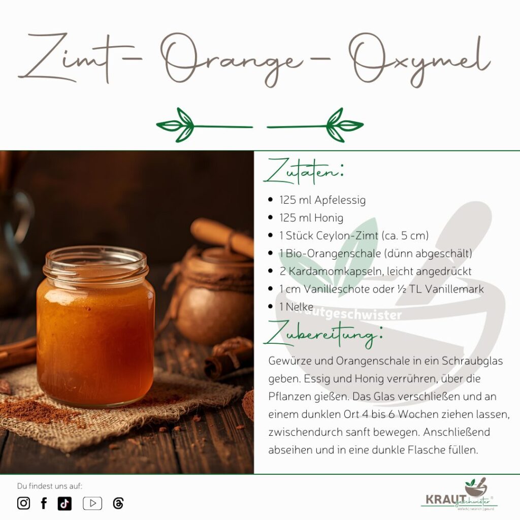 Weihnachtliche Oxymels