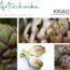 Artischocke – Heilpflanzenportrait